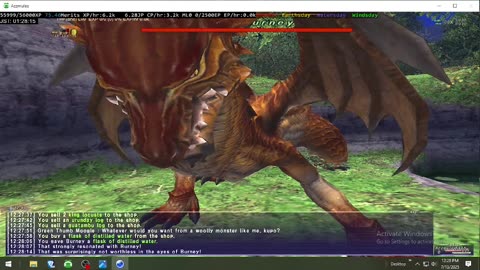 Playing Final Fantasy XI Online
