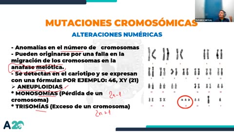 AULA 20 REGULAR 2025 - 1 | Semana 09 | Biología