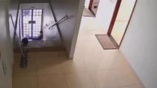 🤣💪 People Need Cleaning, Hilariously! | Epic Cleaning Fails! | FunFM