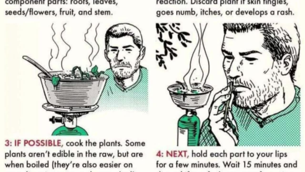 How to test if a plant is edible 🔥❄🍂🍁🌲