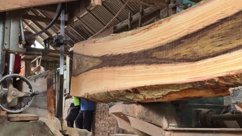 The process of sawing beautiful grain monster wood
