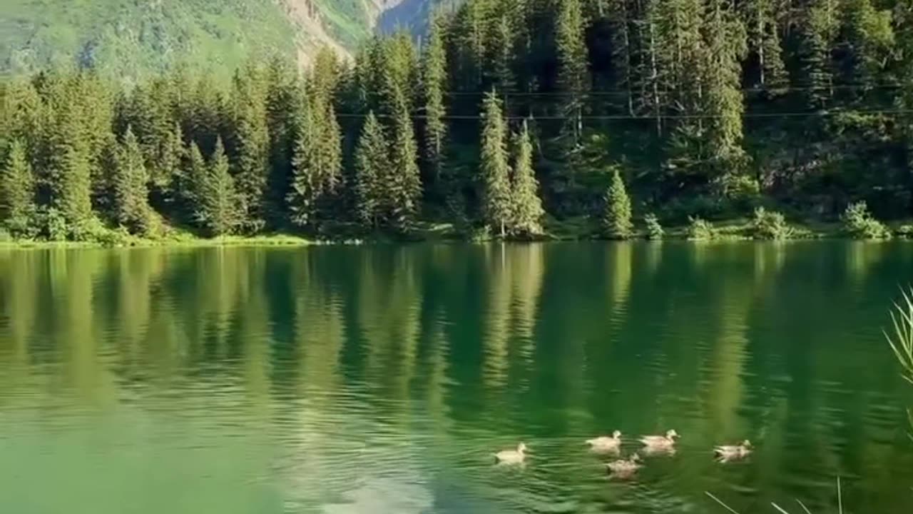 What a beautiful view | Welcome to beauty of nature - 00033