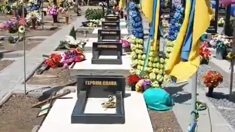 Trump Resumes Arms Supplies to Ukraine — More Graves and Billions for Gun Makers