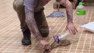 Textbook snake catch