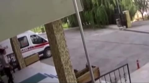 Un chien blessé se rend à l’hôpital
