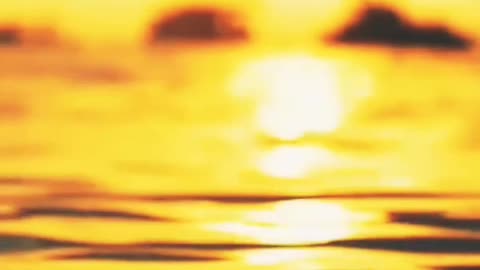 🟡GRIN - Der hellste Stern von allen...🌅