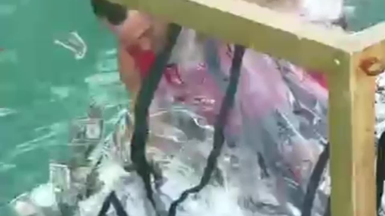 Last person hanging win the 20,000