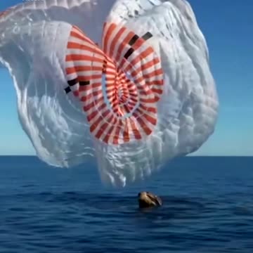 NASA’s Butcher Wilmore and Suni Wiliams Returned to Earth as Part of SpaceX-9 🚀🌍