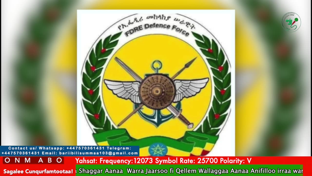 Oduu Waaree ONM-ABO Caamsaa 31-2025 itti dhiyaadhaa!