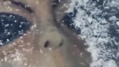 👀⚡ Quickest Poltergeist Ever Caught on Film! | TheHauntingHour