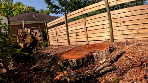 Will stump grinding damage my yard?