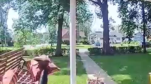 Epic funny video