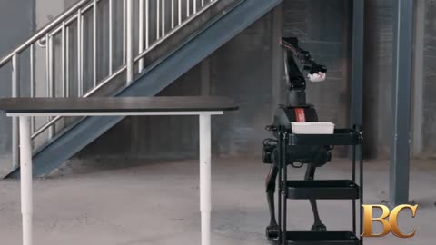 TRON1 robot extends its reach with a new optional arm