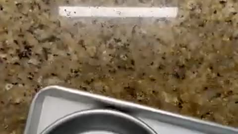 Incredible: baking cheesecake