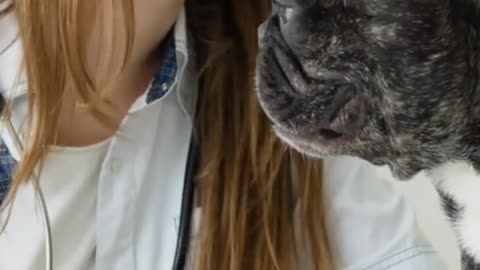 World Rabies Day 2025: Flea, Tick & Parasite Prevention Tips for Pets