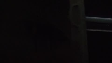 Is This REALLY Rent Ready?? Let’s Find Out 👀. Turnover Time — The Part Tenants Never See!