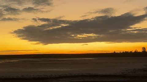 Birds and sunset