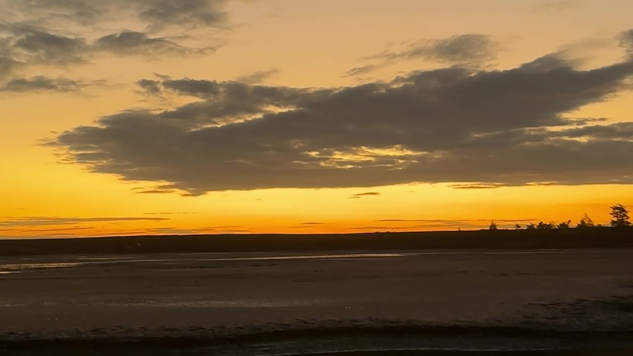 Birds and sunset