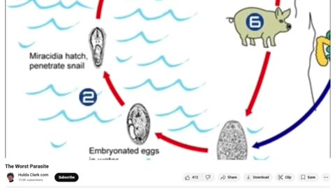 Parasites Pollutants Diseases