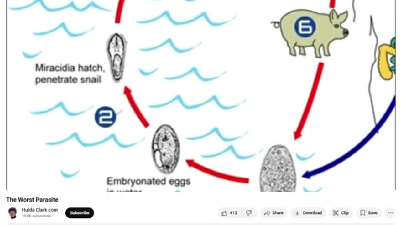 Parasites Pollutants Diseases
