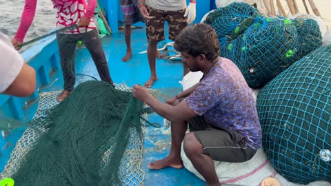 Meeresrauschen Thunfischjagd in Laos Küstengewässern #LaosFischerei