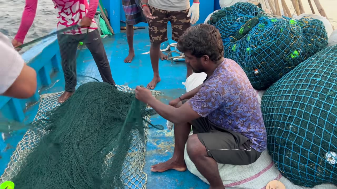 Meeresrauschen Thunfischjagd in Laos Küstengewässern #LaosFischerei
