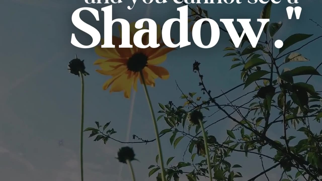 Nature’s Whisper: One Minute to Reset Your Soul 🌿✨