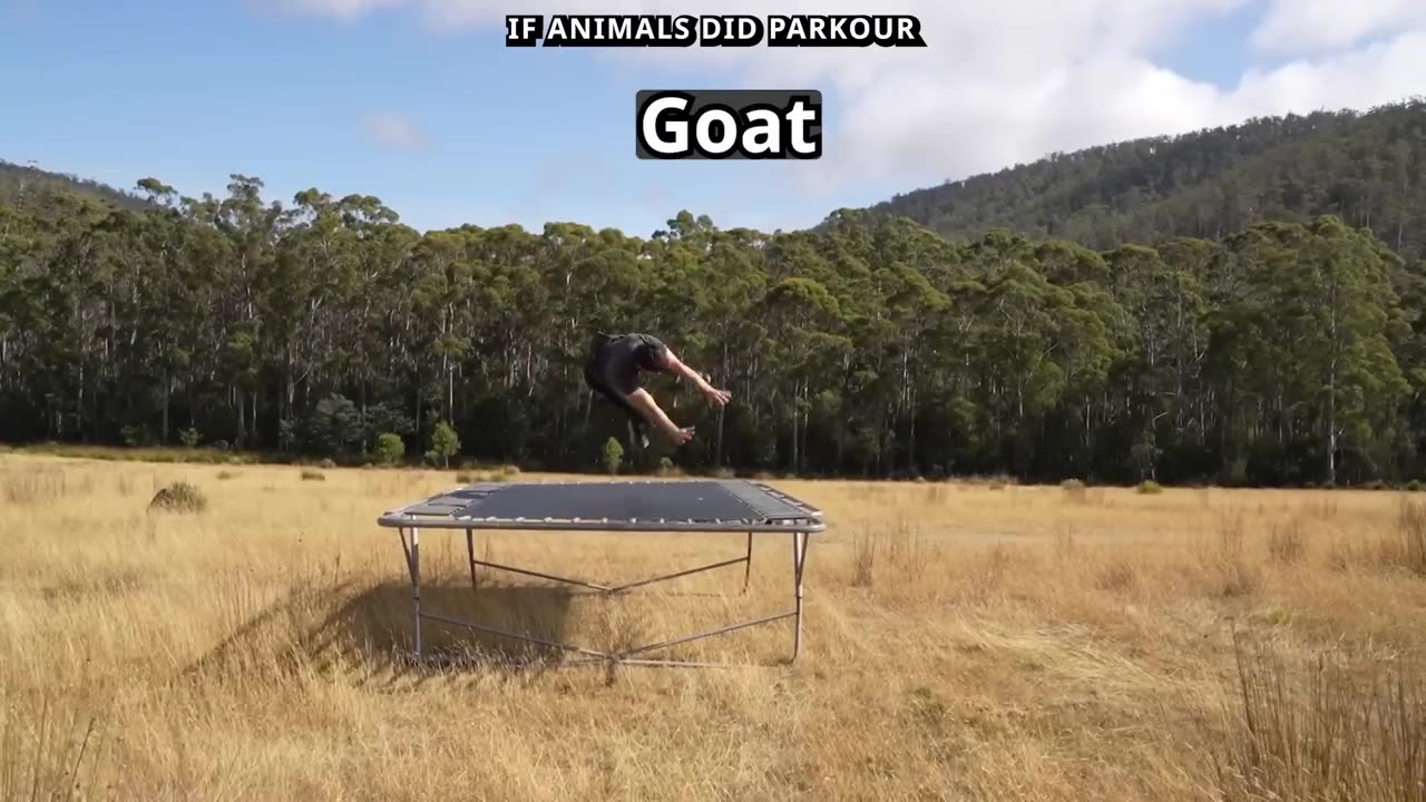 Meme me