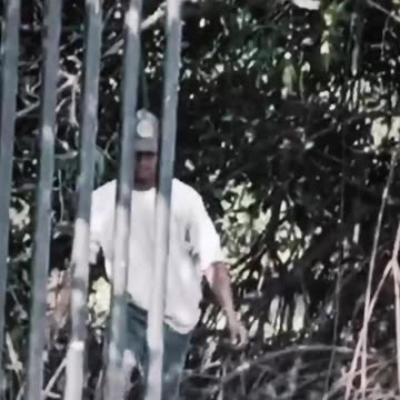 CAPTURA EN LA AV. DEL LAGO