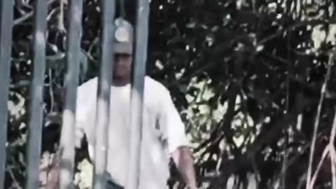 CAPTURA EN LA AV. DEL LAGO
