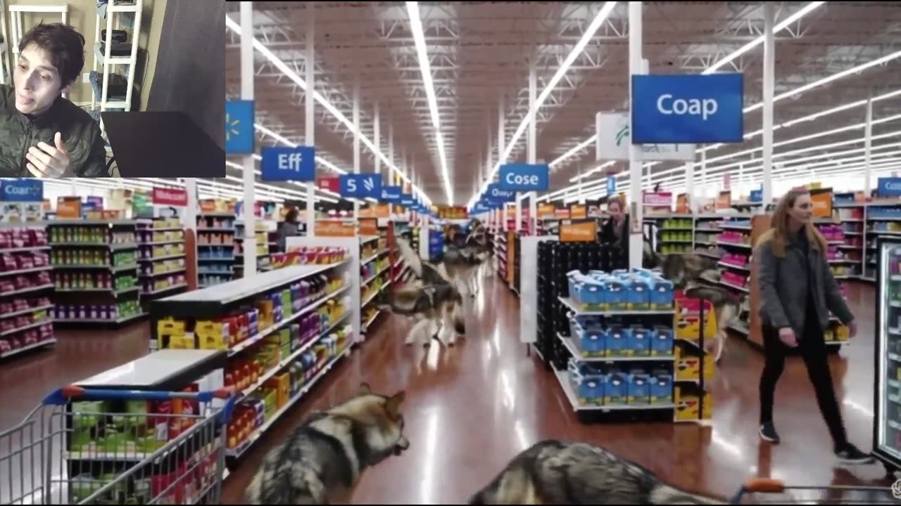 Outtake #1,010 Of The Over 5 Fictitious Wolves Roam Around A Walmart Supercenter Fake Strange Video