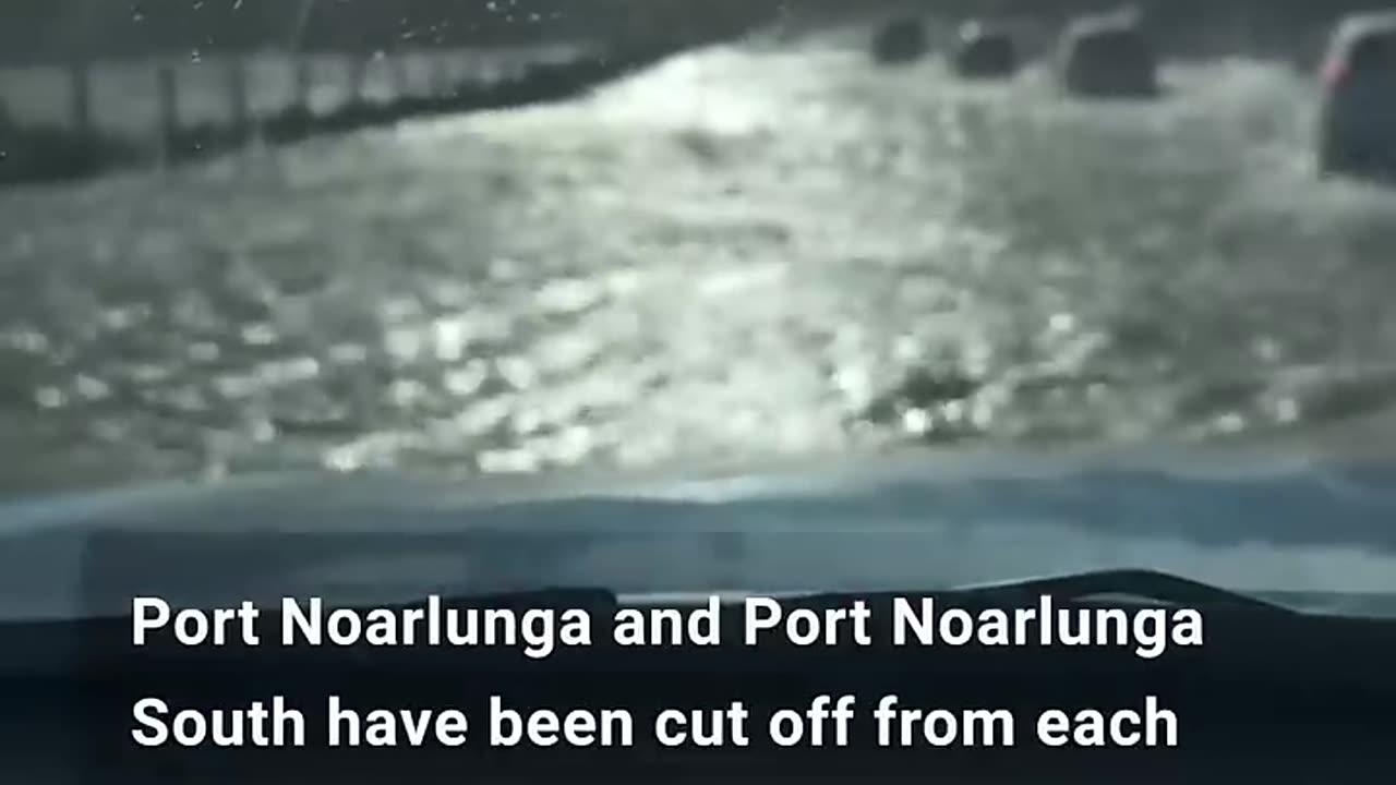 Kangaroo escapes surging water as key road closure causes major traffic - news.com.au (720p, h264)