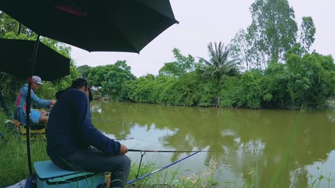 Sunfish Spin Fishing in Lake Calm Waters