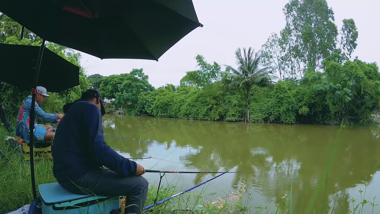 Sunfish Spin Fishing in Lake Calm Waters