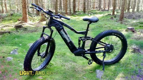 SAMEBIKE RS-A08-II Electric Bike 26*4.0 inches 1000W 48V 17AH Battery Electric Bike