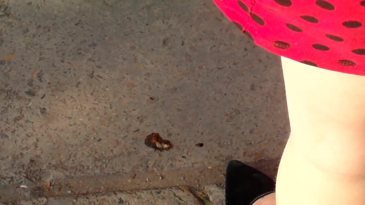 Girl in Mini Skirt