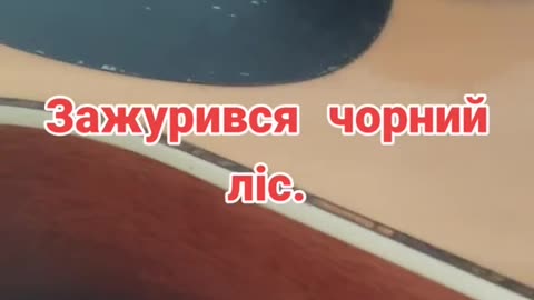 The old forest is sad.