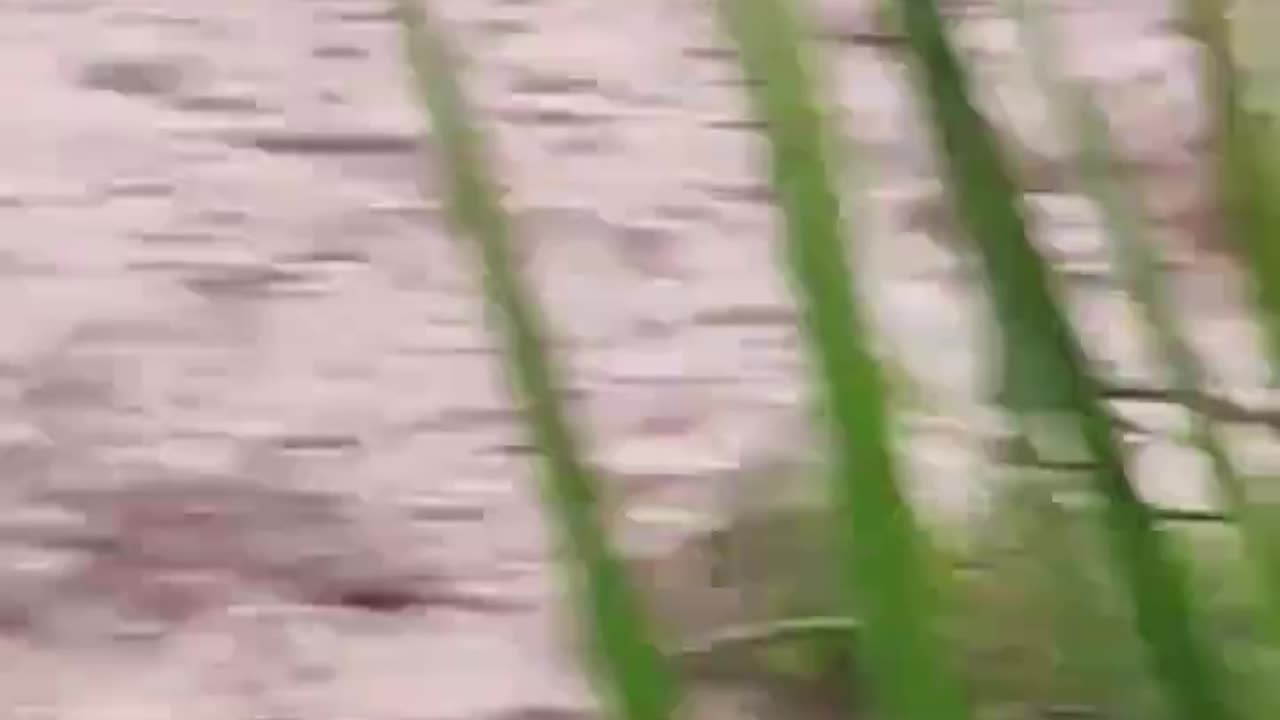 Impactante video: joven cae al vacío mientras grababa una creciente