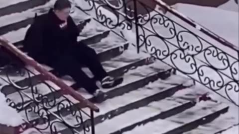 funnyvideosdaily