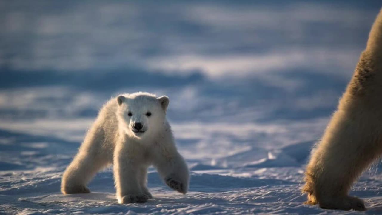 Revelation chapter 15