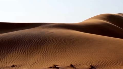 The Whispering Sand