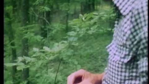 The Swamp Monster
