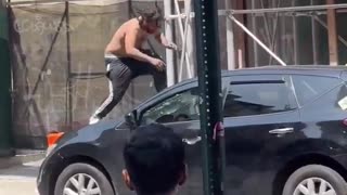 New York looks like a jungle.