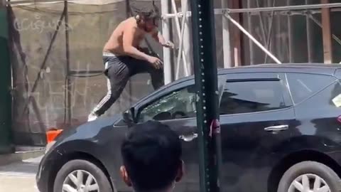 New York looks like a jungle.