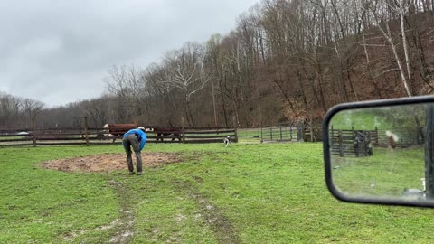 4/4/2025 Scaly - Bulls