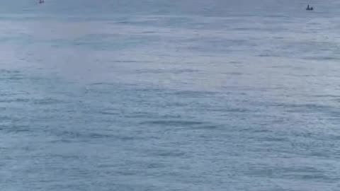 Gazan fishermen try to make a living under difficult conditions