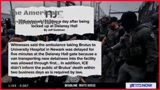 WATCH: Democrat Goes Berserk Outside ICE Facility Where She Got Arrested