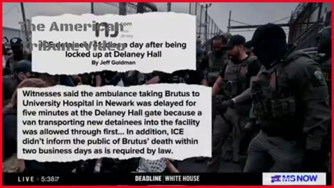 WATCH: Democrat Goes Berserk Outside ICE Facility Where She Got Arrested