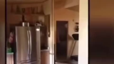 😱👹 Skinwalker Caught on Camera! Chilling Paranormal Encounter | TheHauntingHour