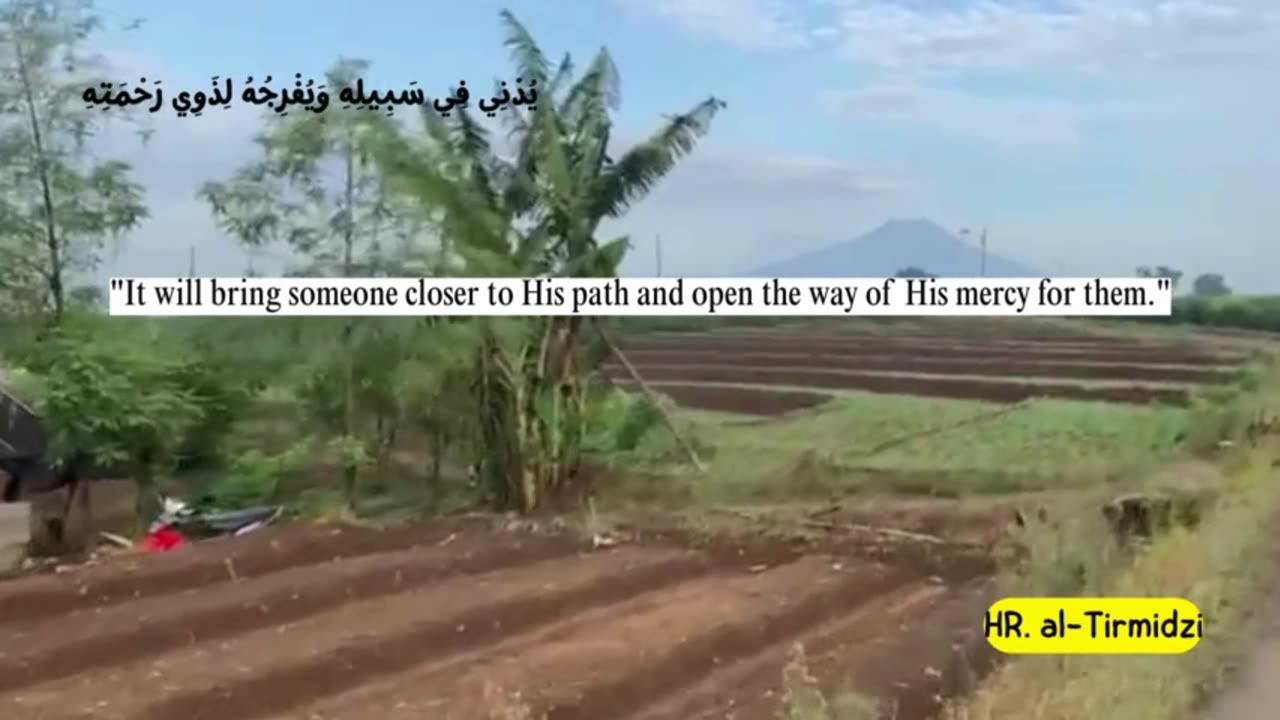Partly about the Islamic religion 16